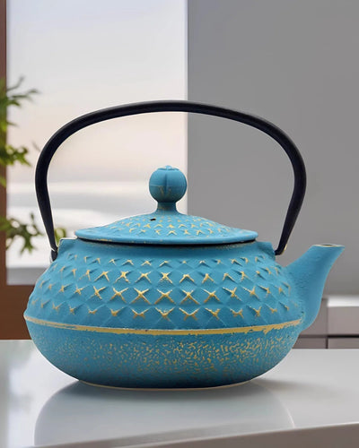 Théière Japonaise | Emaillée