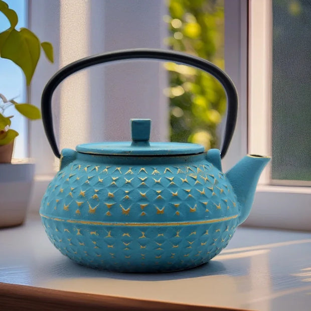 Théière Japonaise | Emaillée
